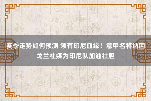 赛季走势如何预测 领有印尼血缘！意甲名将纳因戈兰社媒为印尼队加油壮胆