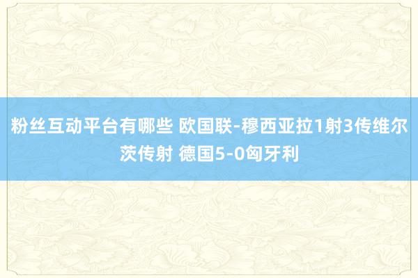 粉丝互动平台有哪些 欧国联-穆西亚拉1射3传维尔茨传射 德国5-0匈牙利