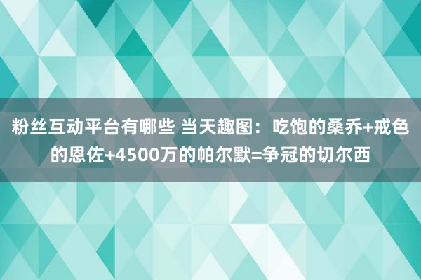 粉丝互动平台有哪些 当天趣图：吃饱的桑乔+戒色的恩佐+4500万的帕尔默=争冠的切尔西