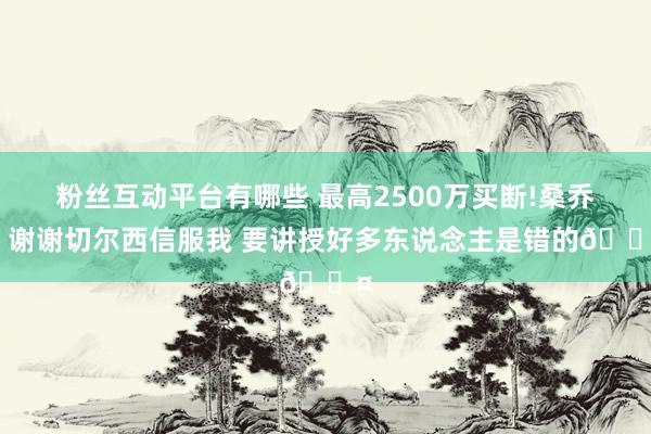 粉丝互动平台有哪些 最高2500万买断!桑乔：谢谢切尔西信服我 要讲授好多东说念主是错的😤