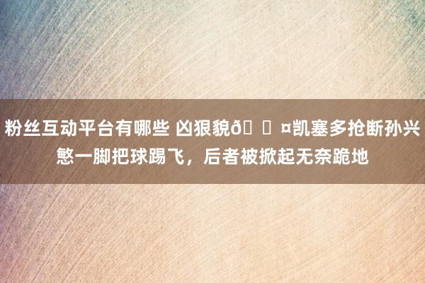 粉丝互动平台有哪些 凶狠貌😤凯塞多抢断孙兴慜一脚把球踢飞，后者被掀起无奈跪地