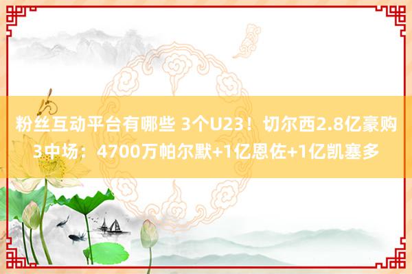 粉丝互动平台有哪些 3个U23！切尔西2.8亿豪购3中场：4700万帕尔默+1亿恩佐+1亿凯塞多