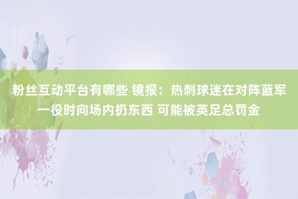 粉丝互动平台有哪些 镜报：热刺球迷在对阵蓝军一役时向场内扔东西 可能被英足总罚金