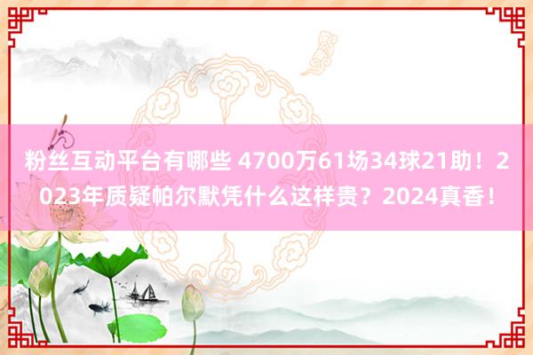 粉丝互动平台有哪些 4700万61场34球21助！2023年质疑帕尔默凭什么这样贵？2024真香！