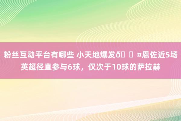 粉丝互动平台有哪些 小天地爆发😤恩佐近5场英超径直参与6球，仅次于10球的萨拉赫