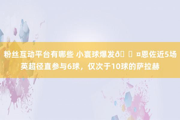 粉丝互动平台有哪些 小寰球爆发😤恩佐近5场英超径直参与6球，仅次于10球的萨拉赫