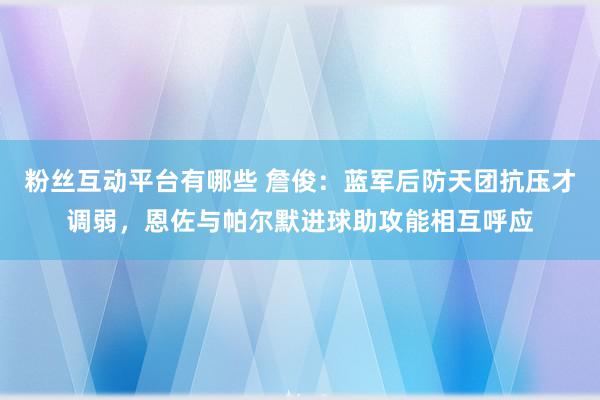 粉丝互动平台有哪些 詹俊：蓝军后防天团抗压才调弱，恩佐与帕尔默进球助攻能相互呼应