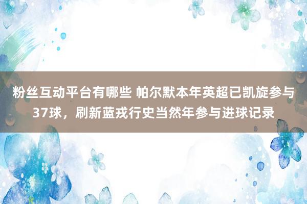 粉丝互动平台有哪些 帕尔默本年英超已凯旋参与37球，刷新蓝戎行史当然年参与进球记录