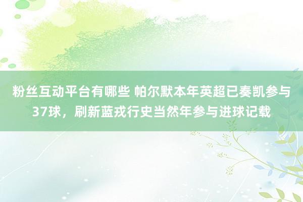 粉丝互动平台有哪些 帕尔默本年英超已奏凯参与37球，刷新蓝戎行史当然年参与进球记载