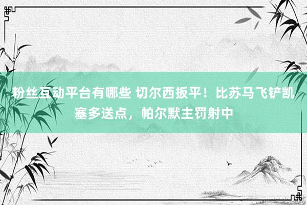 粉丝互动平台有哪些 切尔西扳平！比苏马飞铲凯塞多送点，帕尔默主罚射中