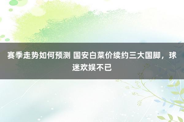 赛季走势如何预测 国安白菜价续约三大国脚，球迷欢娱不已