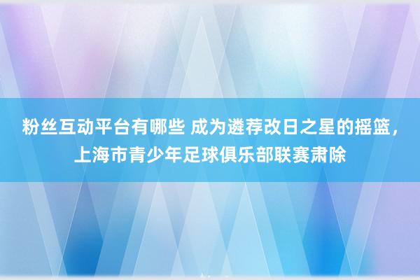 粉丝互动平台有哪些 成为遴荐改日之星的摇篮，上海市青少年足球俱乐部联赛肃除